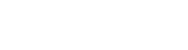 Fondazione Sorgente Group